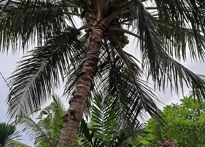 Asli Bali, The Real Bali * Candidasa